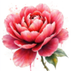 Hyper-Bloom Maximalist Florals 10-Pack Clip Art Bundle